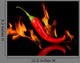 Red Chili Pepper Wall Decal