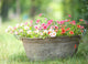 Sommerzeit Wall Decal