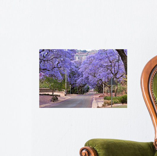 Jacaranda Trees Wall Decal