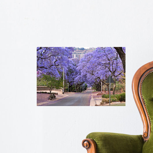 Jacaranda Trees Wall Decal