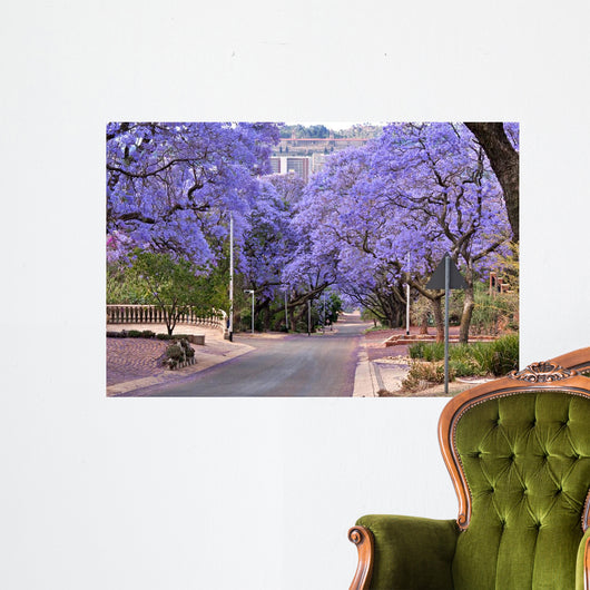 Jacaranda Trees Wall Decal