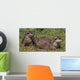 Small-clawed Otter 8 Wall Decal