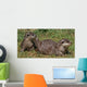 Small-clawed Otter 8 Wall Decal