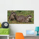 Small-clawed Otter 8 Wall Decal
