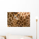 Baby Giraffe Wall Decal