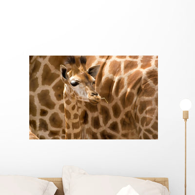 Baby Giraffe Wall Decal shown on a wall