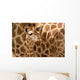 Baby Giraffe Wall Decal