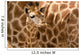 Baby Giraffe Wall Decal