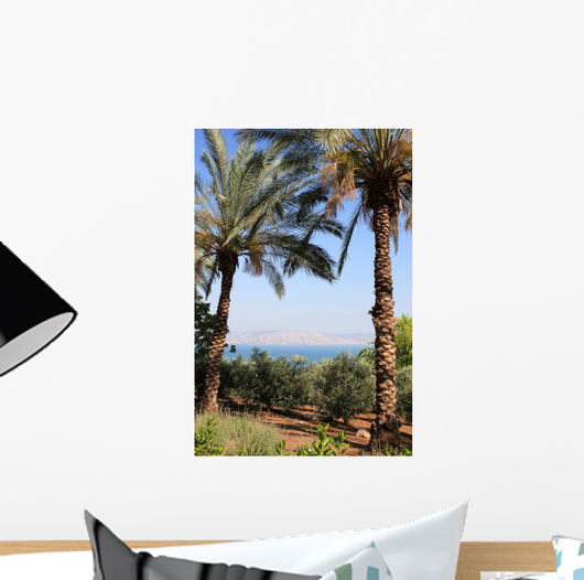 Sea Galilee Wall Decal