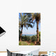 Sea Galilee Wall Decal