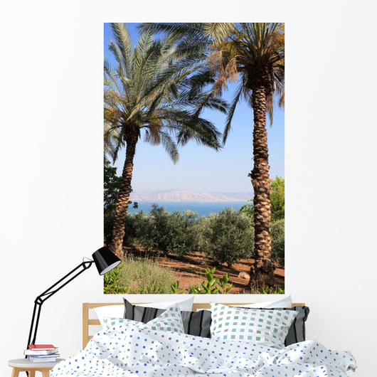 Sea Galilee Wall Decal