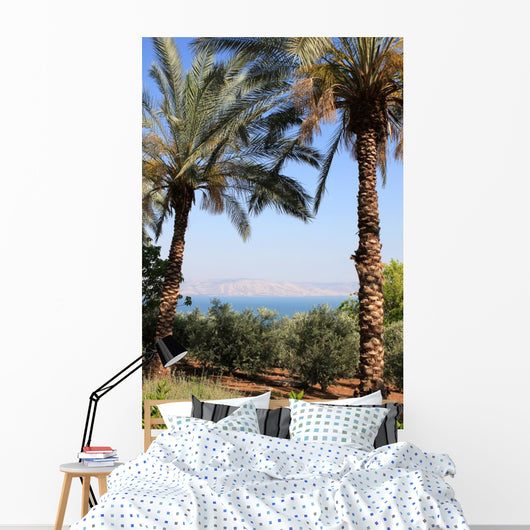 Sea Galilee Wall Decal