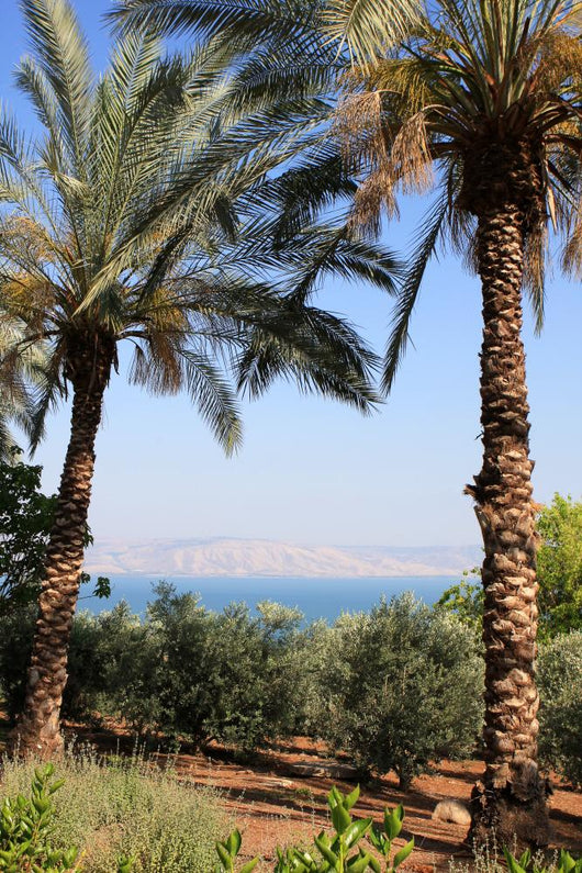 Sea Galilee Wall Decal