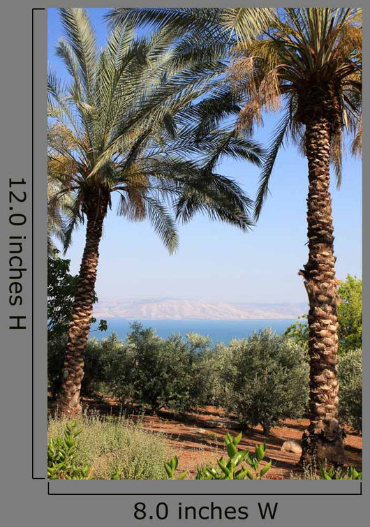 Sea Galilee Wall Decal