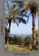 Sea Galilee Wall Decal