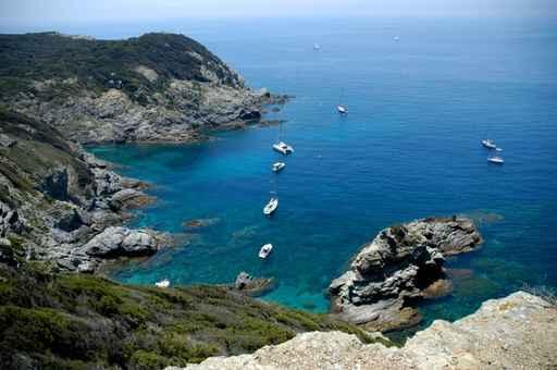 Porquerolles Wall Decal