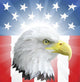 Patriotic American Eagle and Wall Decal
