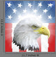 Patriotic American Eagle and Wall Decal
