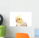 Beautiful Parrot with Gray Wall Decal