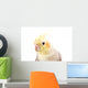 Beautiful Parrot with Gray Wall Decal