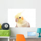 Beautiful Parrot with Gray Wall Decal