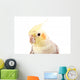 Beautiful Parrot with Gray Wall Decal