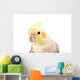Beautiful Parrot with Gray Wall Decal