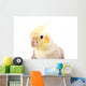 Beautiful Parrot with Gray Wall Decal