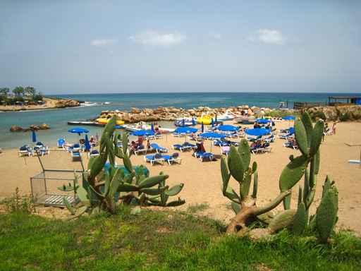 Protaras Wall Decal