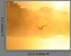 Heron Wall Mural