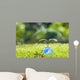 Ecology Wall Decal