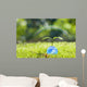 Ecology Wall Decal