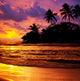 Tropical Beach Wall Decal Design 3