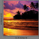 Tropical Beach Wall Decal Design 3