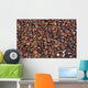 Cafa Torra Fia Wall Decal