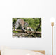 Katta-familie Wall Decal