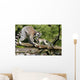 Katta-familie Wall Decal