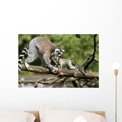 Katta-familie Wall Decal shown on a wall