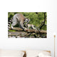 Katta-familie Wall Decal