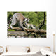Katta-familie Wall Decal