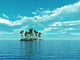 Palm Island Wall Decal