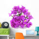 Bougainvillea Wall Decal