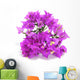 Bougainvillea Wall Decal