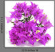 Bougainvillea Wall Decal