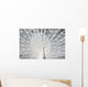 White Peacock Wall Decal