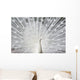 White Peacock Wall Decal