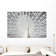 White Peacock Wall Decal