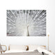 White Peacock Wall Decal