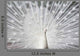 White Peacock Wall Decal