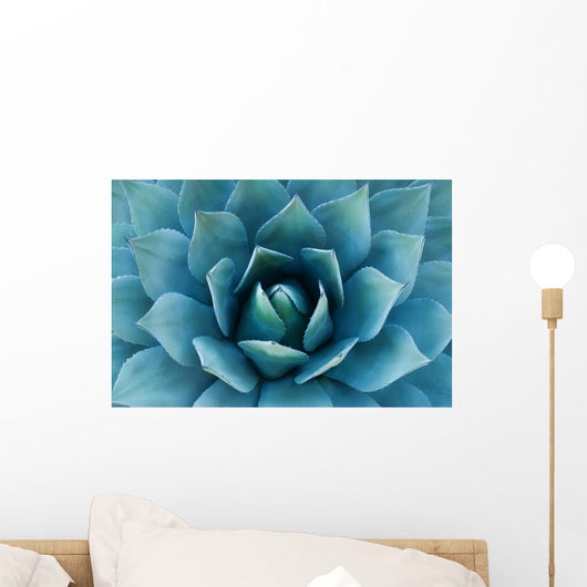 Agave Plant Wall Decal